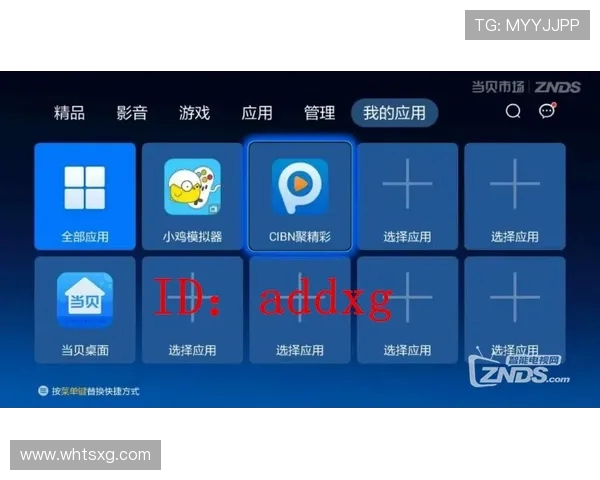 PPTV西甲直播观看指南，轻松掌握赛事动态